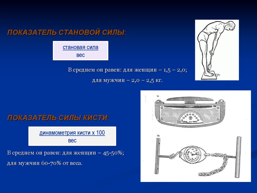 Норма силы. Становая динамометрия показатели. Кистевая и становая динамометрия. Средний показатель становой силы. Показатель силы кисти.