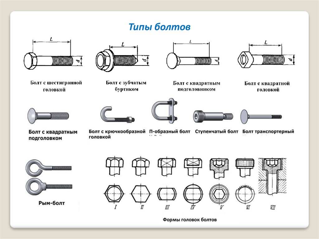 Виды винтов и болтов с картинками