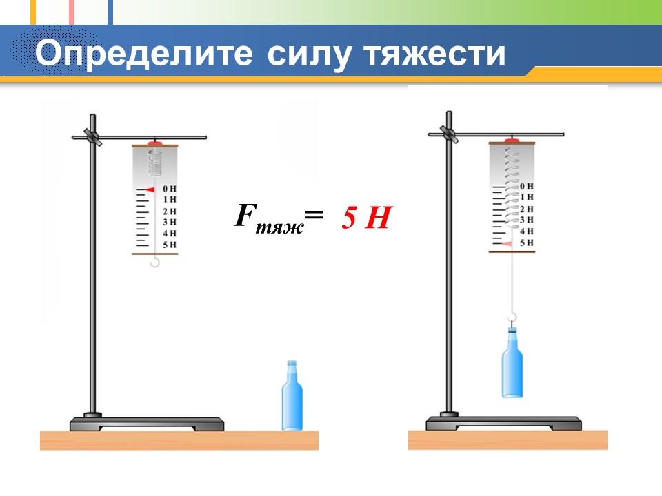 Рисунок шкала динамометра