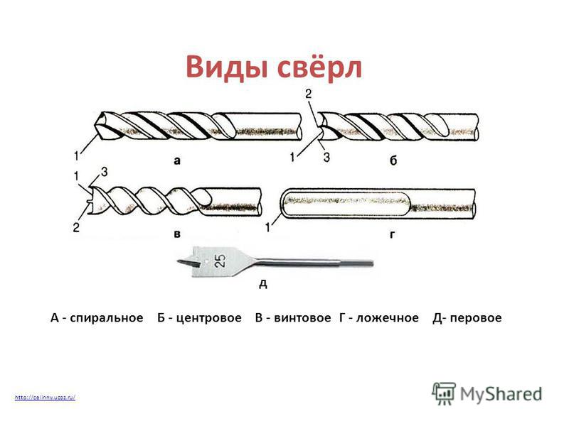 Типы сверл. Виды сверл схема. Виды свёрл и их Назначение. Виды сверл в столярном деле. Принцип работы сверла.