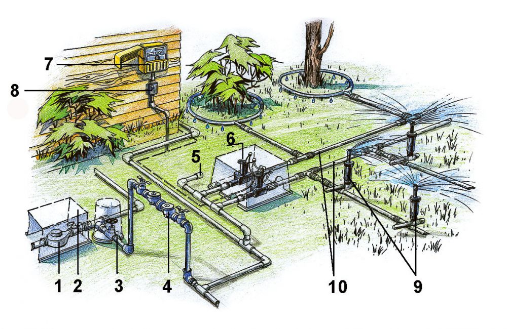 Схема полив газона автоматический