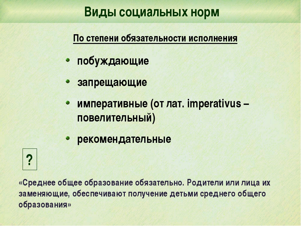 Социальные нормы помогают сохранить порядок