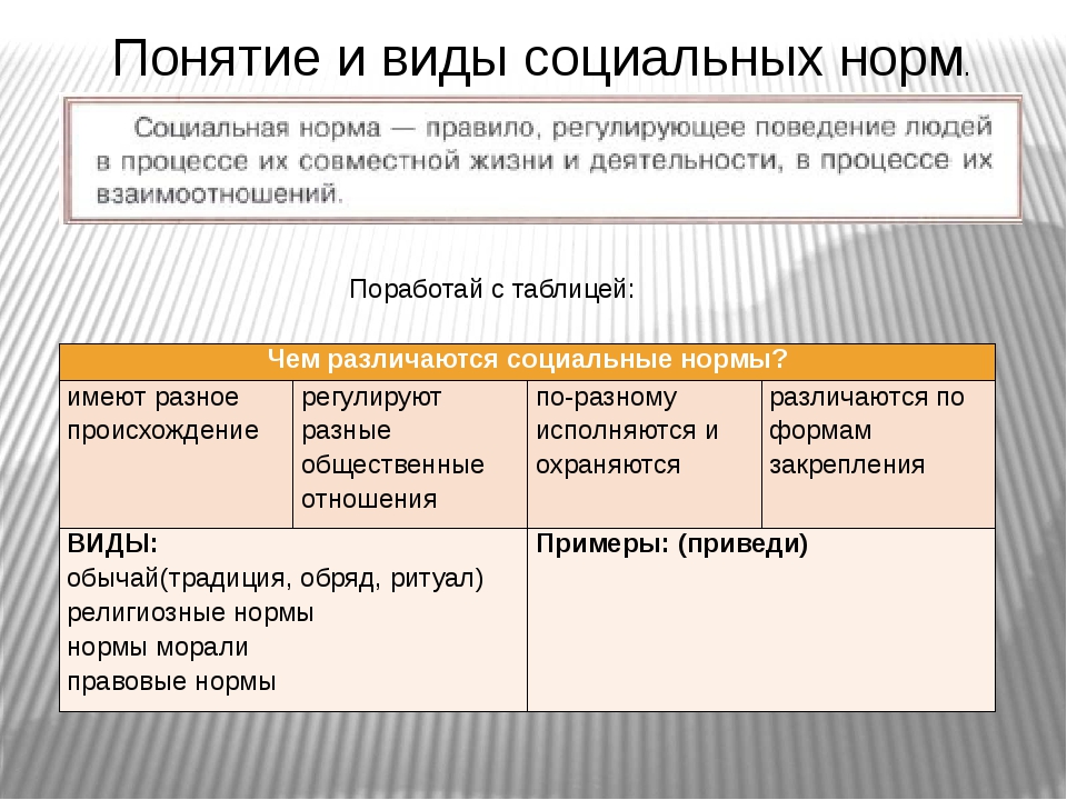 Виды соц норм схема