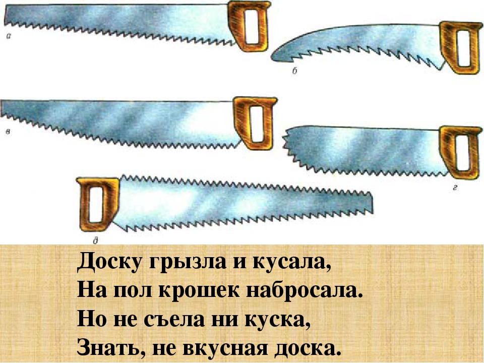 Хронология пилы. Ножовка по дереву рисунок. Расположение полотна ножовки по дереву. Предметы для пиления. Ножовка по дереву рисованная.