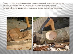 Теслó — плотницкий инструмент, напоминающий топор, но, в отличие от него, име