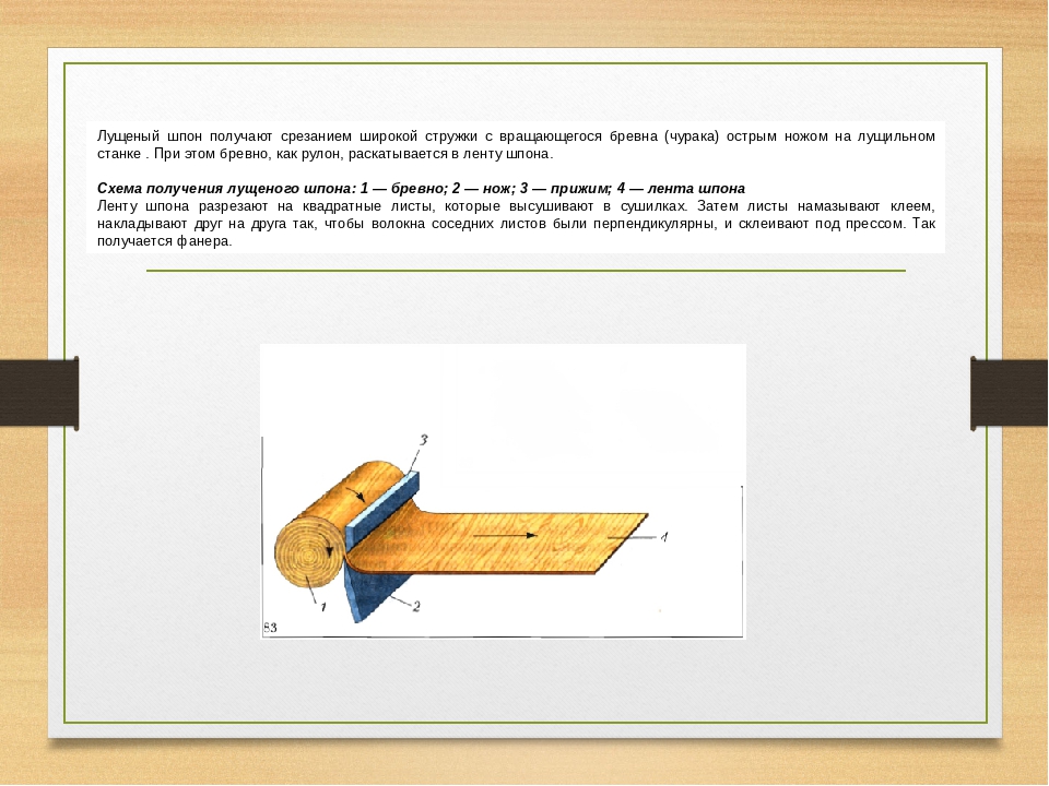Виды шпона рисунок