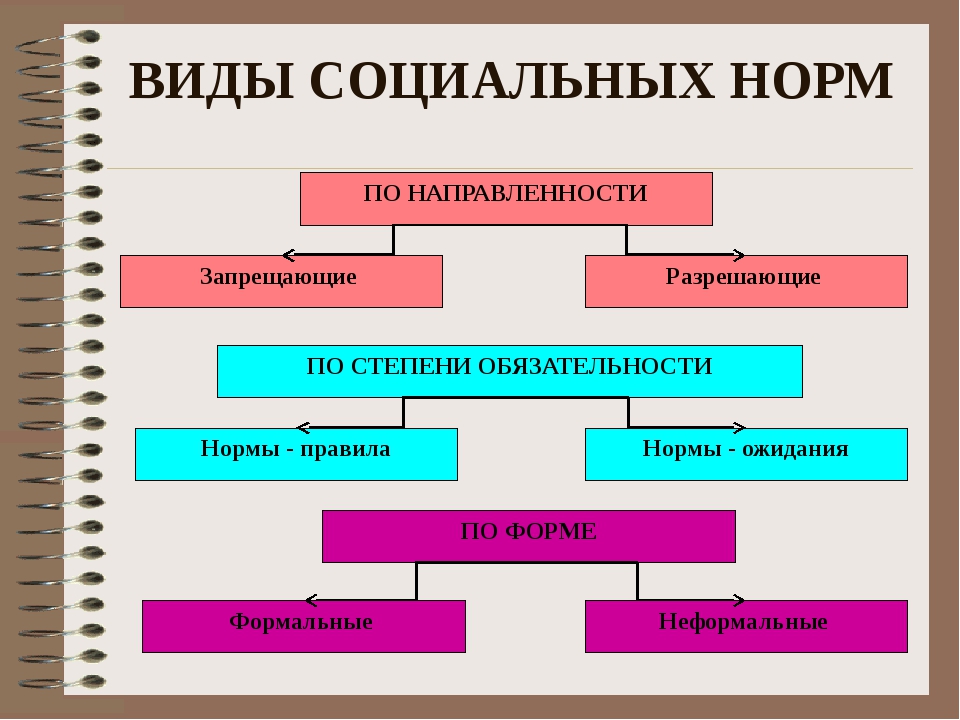 Виды социальных программ. Виды социальных норм. Виды социальных норм по направленности. Виды социальных норм запрещающие. Социальные нормы по направленности.